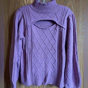 Pink/Purple NWOT Sweater